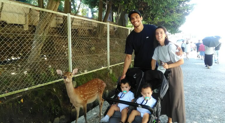 Rutas Místicas por los Templos de Nara