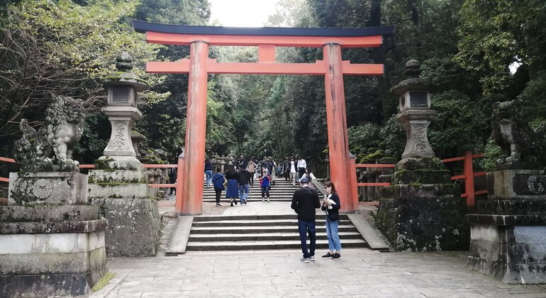 Rutas Místicas por los Templos de Nara
