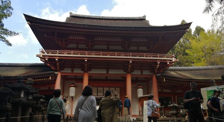 Rutas Místicas por los Templos de Nara