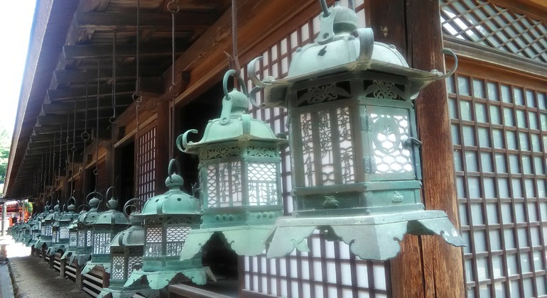 Rutas Místicas por los Templos de Nara