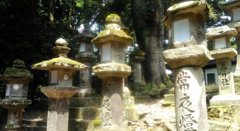 Rutas Místicas por los Templos de Nara