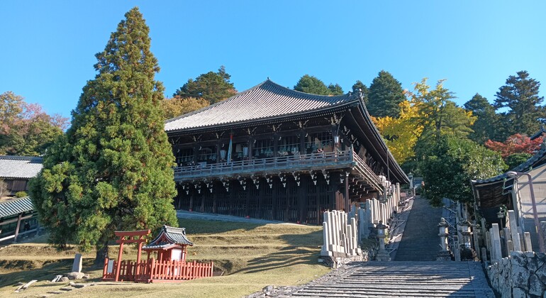 Rutas Místicas por los Templos de Nara