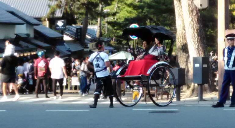 Rutas Místicas por los Templos de Nara
