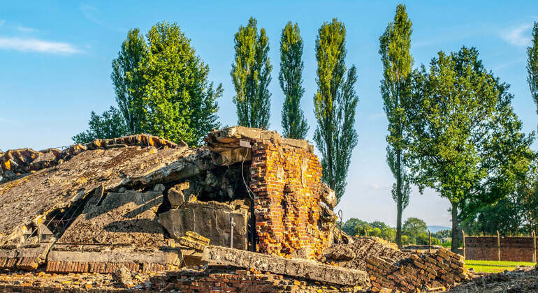 Selbst-Führer App: Oswiecim, Auschwitz-Birkenau Museum Tour (kein Ticket)