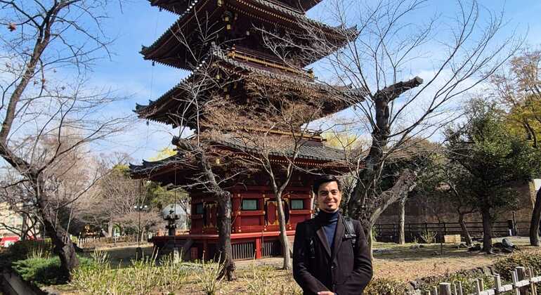 Your Perfect Tokyo Day - Flexible Private Tour