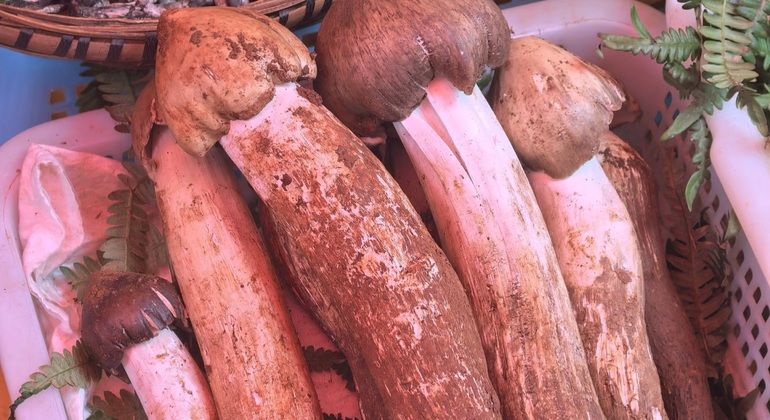 Yunnan schmecken: Kunming Morgenmarkt & Spaziergang mit lokalen Lebensmitteln