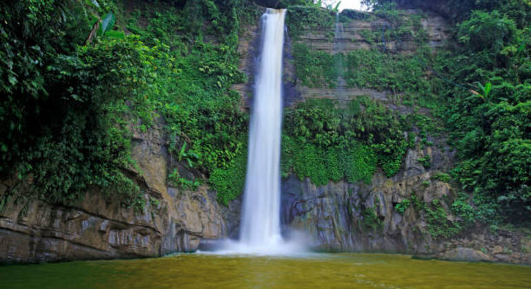 Aventura en Sreemangal: Jardines de té, selvas tropicales y cultura tribal