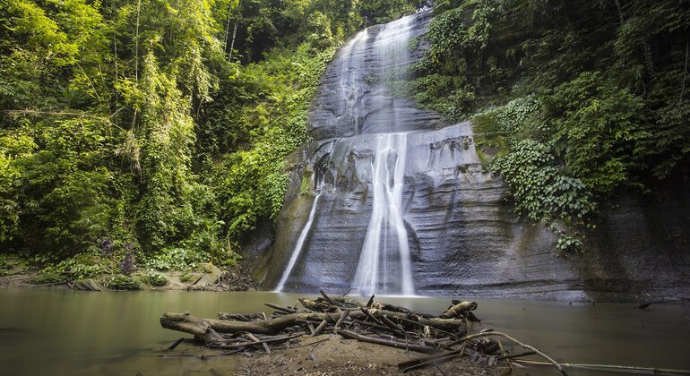 Aventura en Sreemangal: Jardines de té, selvas tropicales y cultura tribal