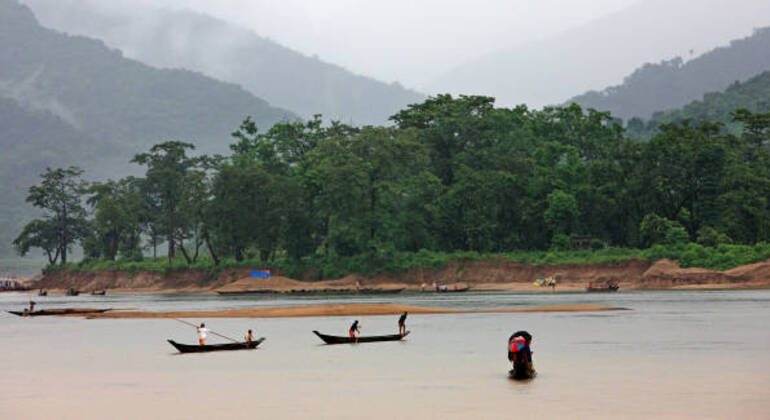 Aventura en Sreemangal: Jardines de té, selvas tropicales y cultura tribal