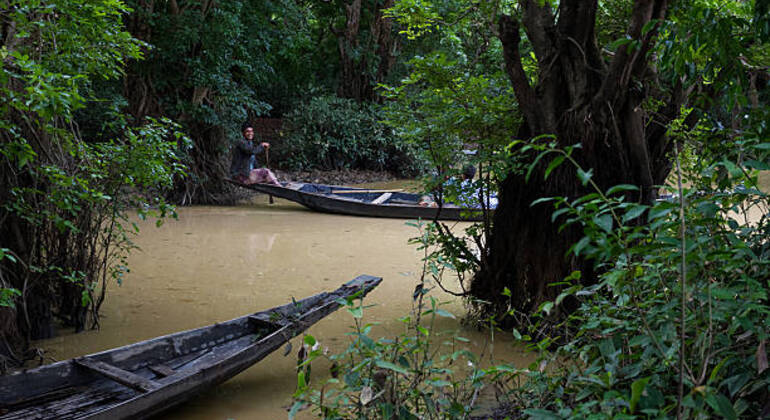 Aventura en Sreemangal: Jardines de té, selvas tropicales y cultura tribal