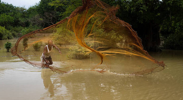 Aventura en Sreemangal: Jardines de té, selvas tropicales y cultura tribal