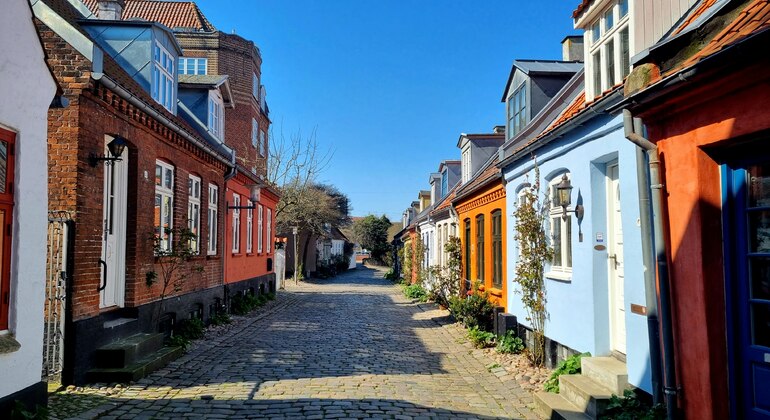 Missing in Aarhus: Self Guided Exploration Game