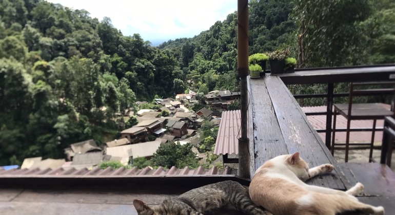 Ökokultureller Tagesausflug ins Dorf Mae Kampong
