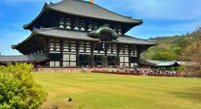 Nara: Excursión privada de un día desde Osaka / Kioto con recogida en el hotel