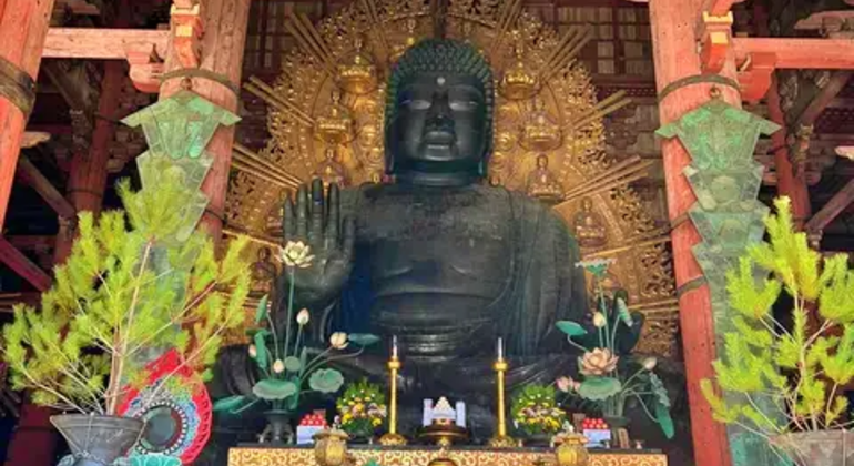 Nara: Excursión privada de un día desde Osaka / Kioto con recogida en el hotel