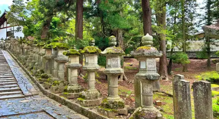 Nara: Excursión privada de un día desde Osaka / Kioto con recogida en el hotel