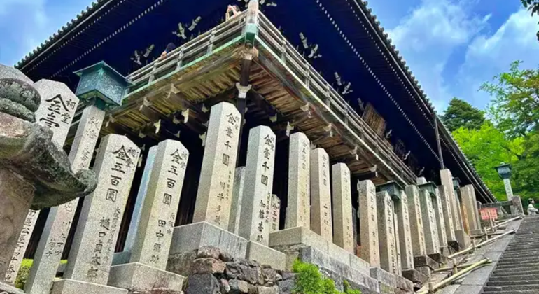 Nara: Excursión privada de un día desde Osaka / Kioto con recogida en el hotel