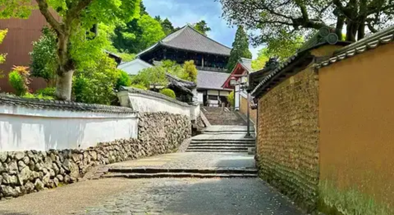 Nara: Excursión privada de un día desde Osaka / Kioto con recogida en el hotel