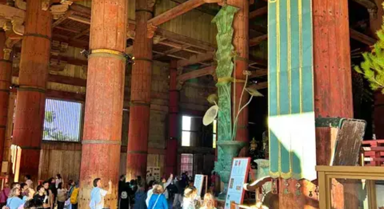Nara: Excursión privada de un día desde Osaka / Kioto con recogida en el hotel