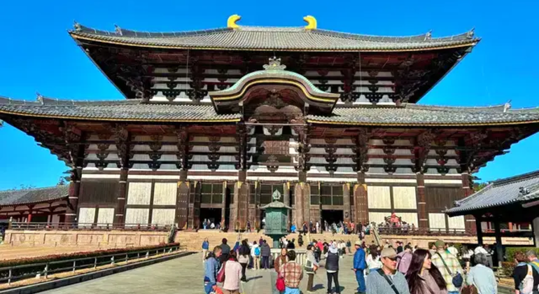 Nara: Excursión privada de un día desde Osaka / Kioto con recogida en el hotel