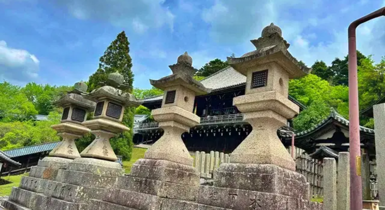 Nara: Excursión privada de un día desde Osaka / Kioto con recogida en el hotel