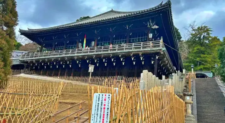 Nara: Excursión privada de un día desde Osaka / Kioto con recogida en el hotel