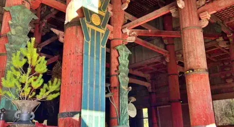 Nara: Excursión privada de un día desde Osaka / Kioto con recogida en el hotel