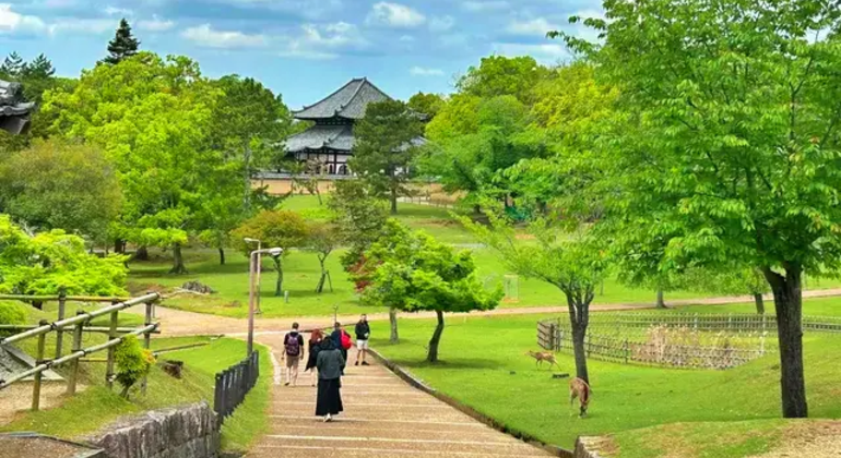 Nara: Excursión privada de un día desde Osaka / Kioto con recogida en el hotel
