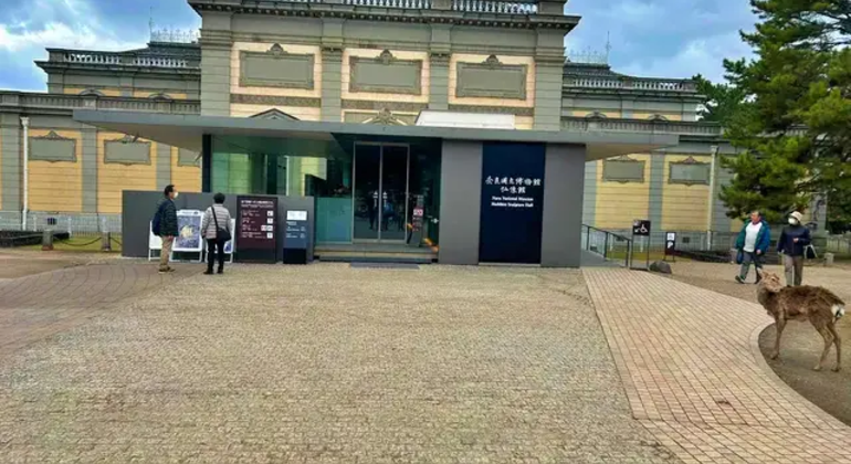 Nara: Excursión privada de un día desde Osaka / Kioto con recogida en el hotel