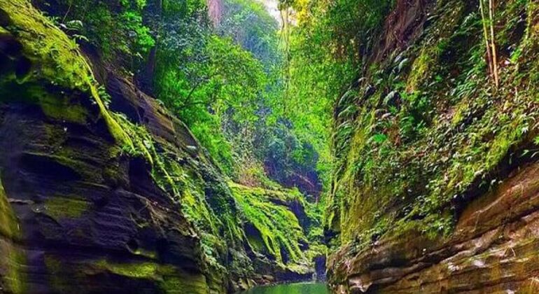 Colinas de Bandarban, Cascadas y Vida Tribal