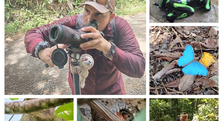 Brandon Naturtour Costa Rica