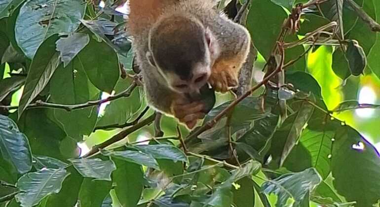 Brandon Naturtour Costa Rica