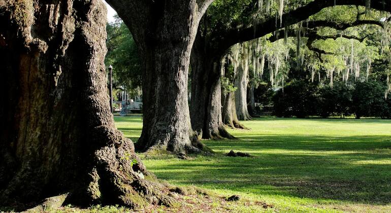 Stadtpark New Orleans: Selbstgesteuertes Erkundungsspiel