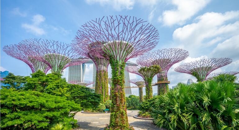 Singapur Stadtzentrum: Selbstgesteuertes Erkundungsspiel