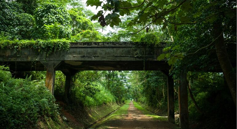 Singapur Stadtzentrum: Selbstgesteuertes Erkundungsspiel
