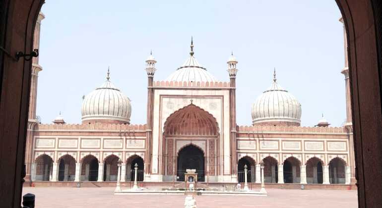 Delhi: Alt- und Neu-Delhi Private Komplett-Tour mit Auto und Reiseführer