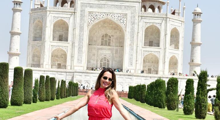Da Delhi ad Agra: Tour privato di un giorno del Taj Mahal e del Forte di Agra