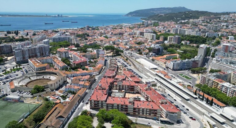 Excursión de un día a Setúbal: Descubra la ciudad y sus alrededores