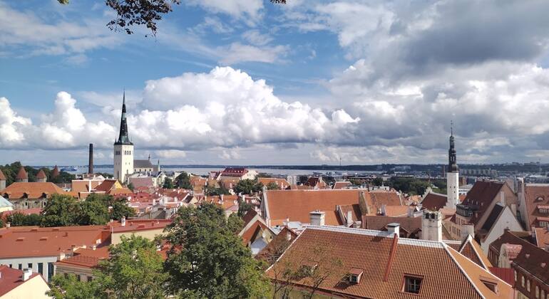 Mysteries of Medieval Tallinn: Self-Guided Exploration Game