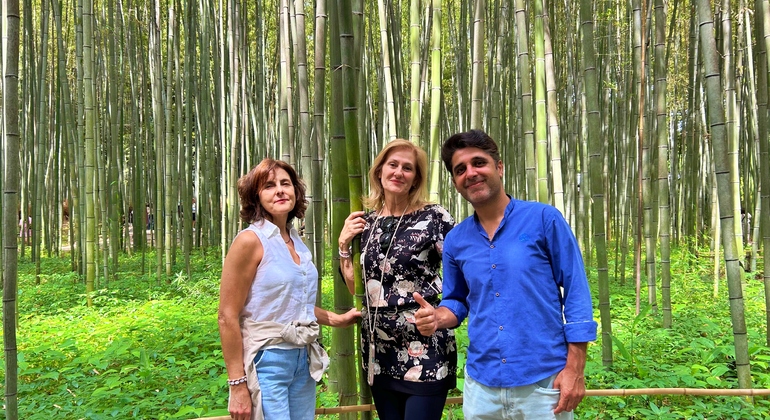 Kyoto: Arashiyama-Bambus- und Adashino-Tempel-Tour mit Hotelabholung