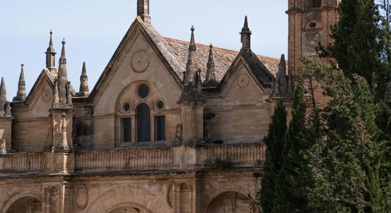 Antequera Milenaria: Dólmenes y Ciudad de Antequera Tour