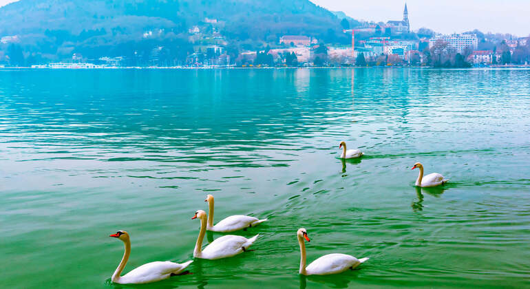 App. audio autoguidée : Annecy City Tour