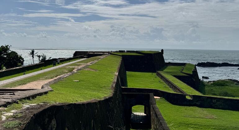 Excursión de un día a Galle y la costa sur desde Colombo: cultura, naturaleza y mar