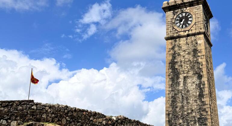 Excursión de un día a Galle y la costa sur desde Colombo: cultura, naturaleza y mar