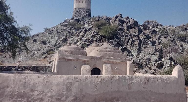Per Group : Private Fujeirah 8 Hours Tour with Professional Driver