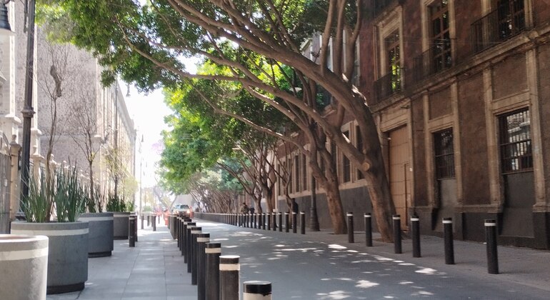 Tour of the Historic Center: Magical Mexico 