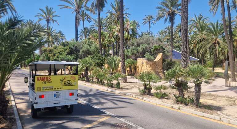 Excursiones privadas en tuk-tuk por Alicante: personaliza tu aventura