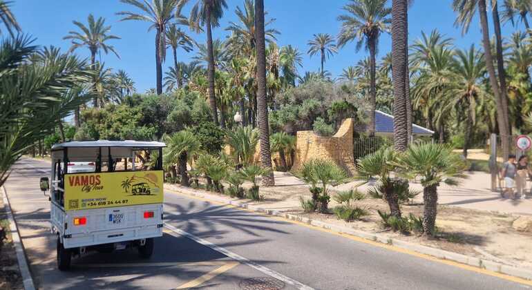 Excursiones privadas en tuk-tuk por Alicante: personaliza tu aventura