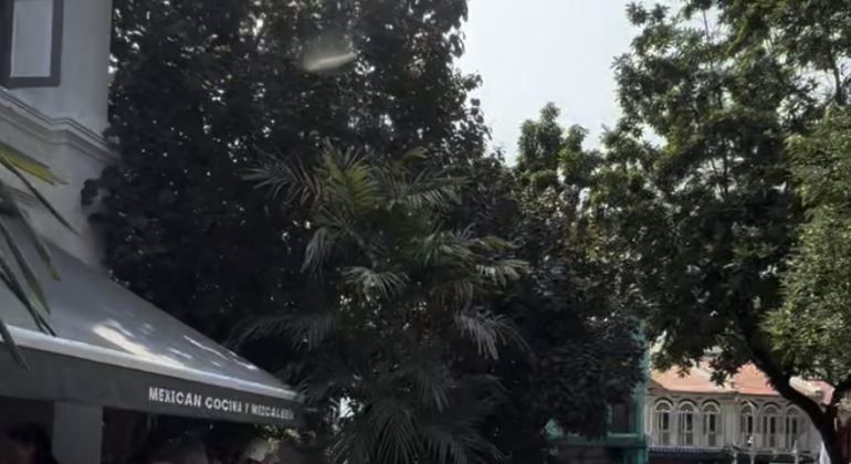 Wow, ich kann kaum glauben, dass ich in Singapur bin: Tour durch das verborgene Chinatown
