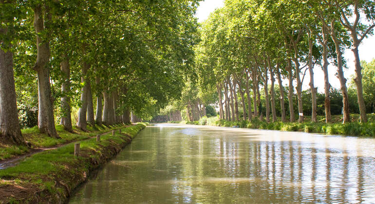 Audio-App für selbstgeführte Touren: Stadtrundgang durch Toulouse